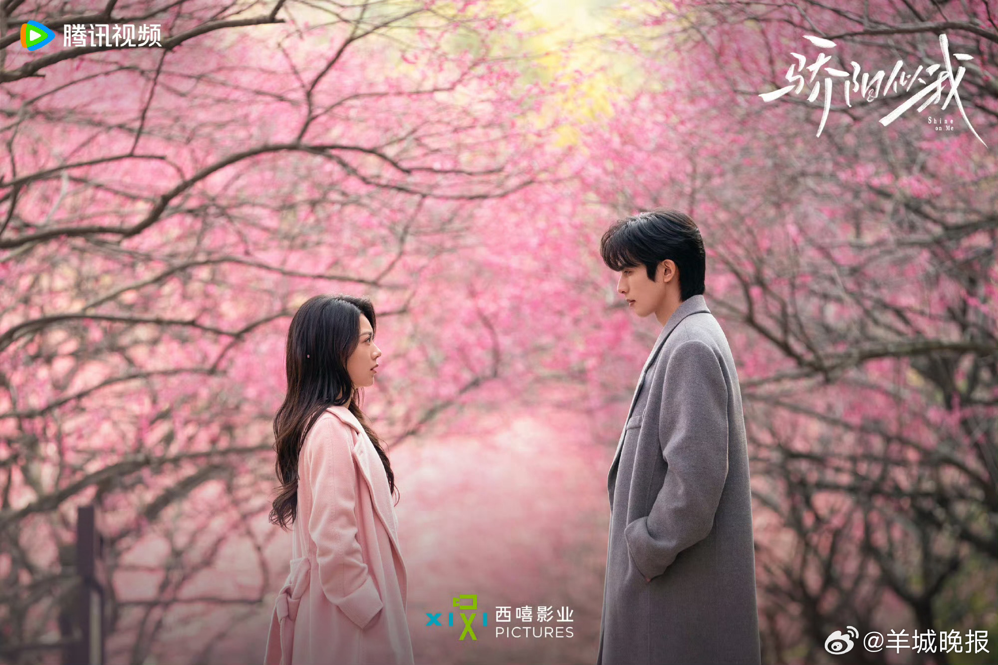 【分享你心中最意难平的CP，哪一对让你恋恋难忘？】都说CP感是一种玄学，或许是一