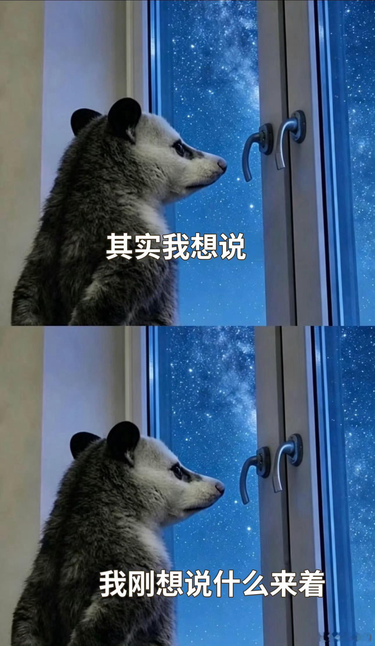 我们有自己的负鼠