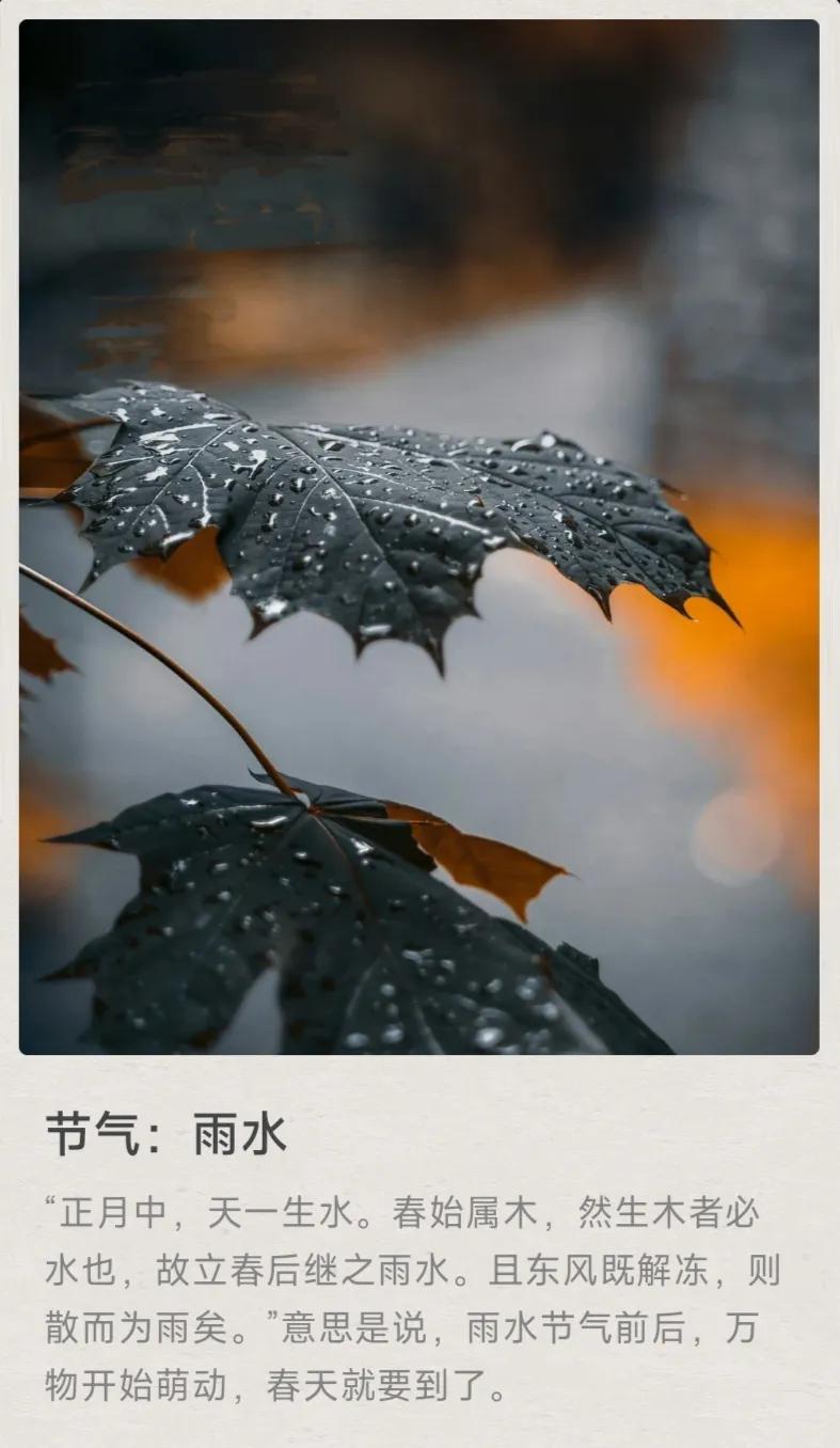 节气 雨水 万能生活指南