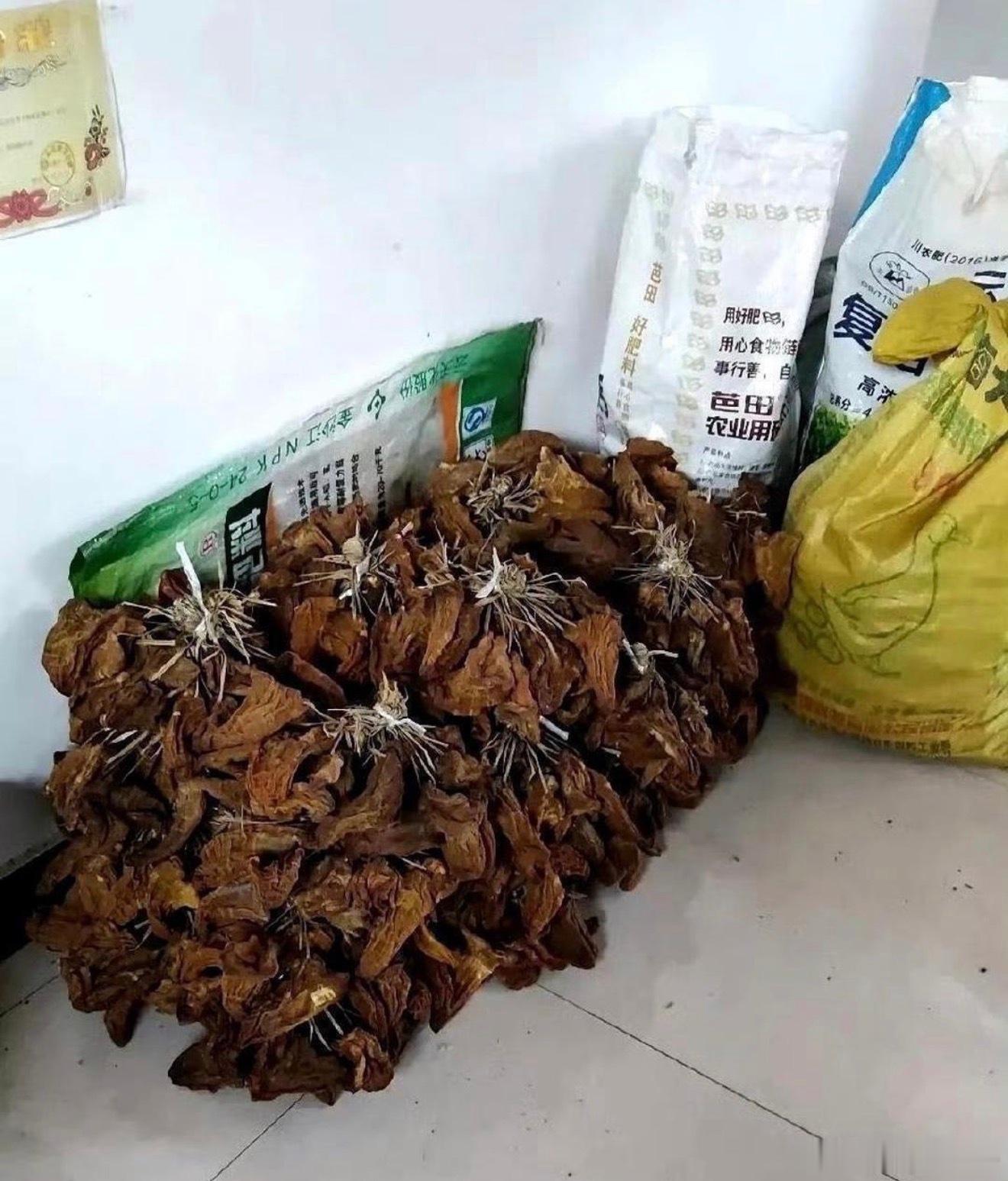 这一看就是大户人家 