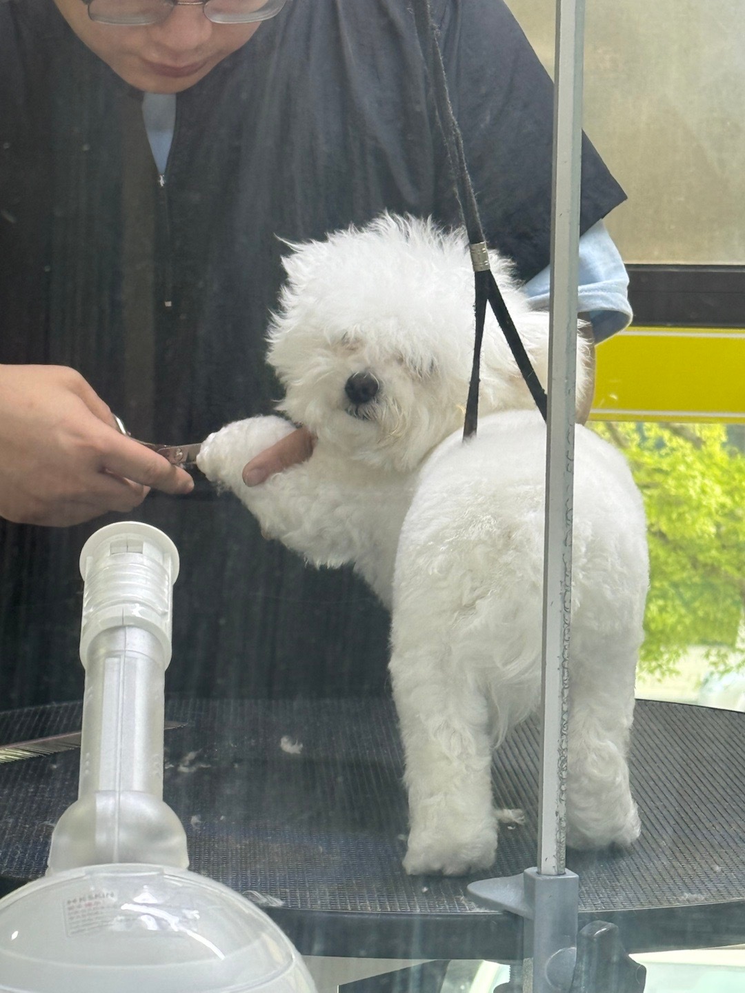 又被夸奖了我们小luna[羞嗒嗒]超乖的宝宝一枚 ​​​