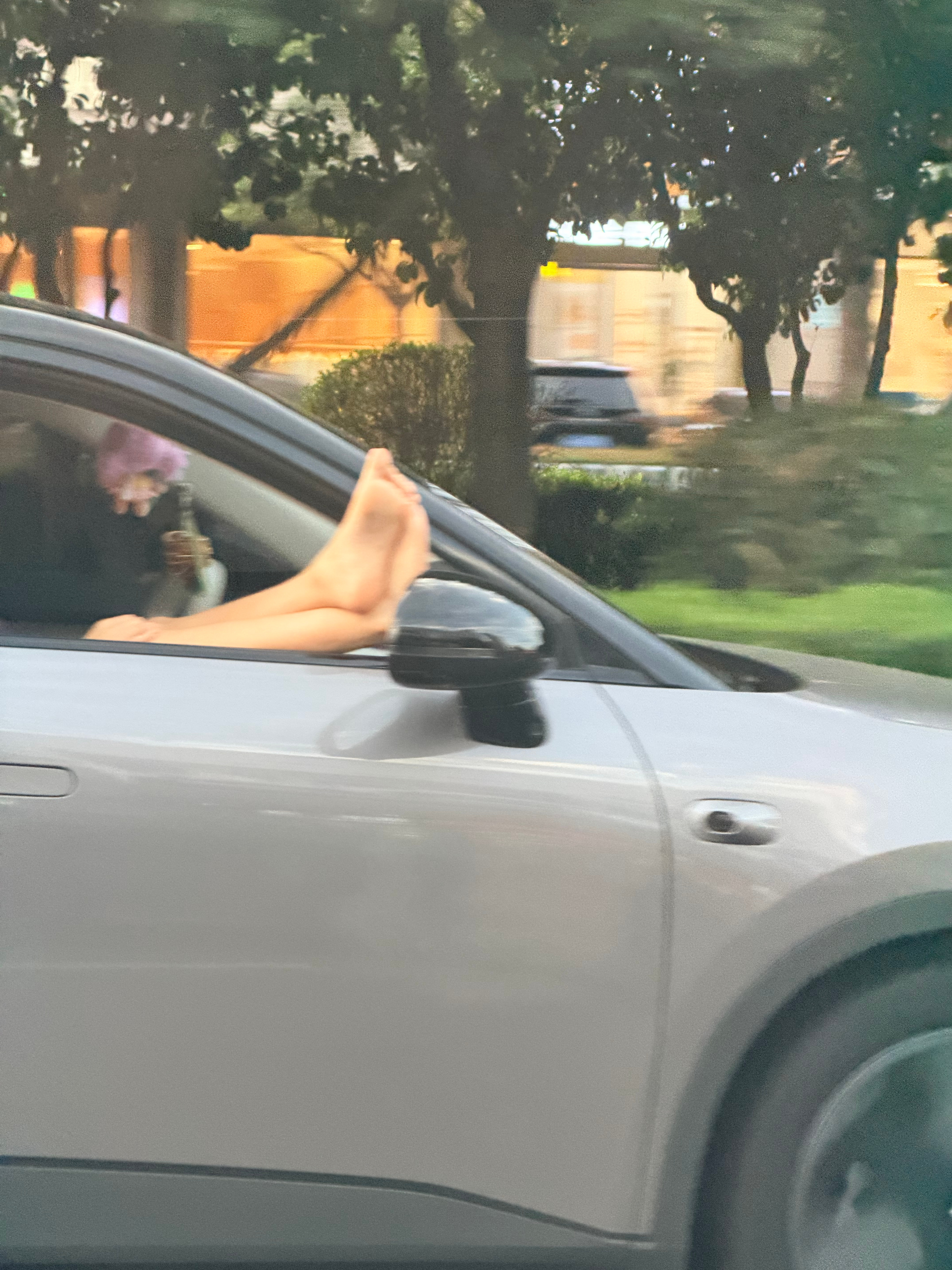 萤火虫车主牛逼 