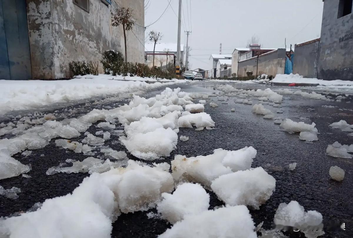 今儿个农历十月十五了，这个日子可不得了，老话说“有雪无雪，就看十月十五”，是不是