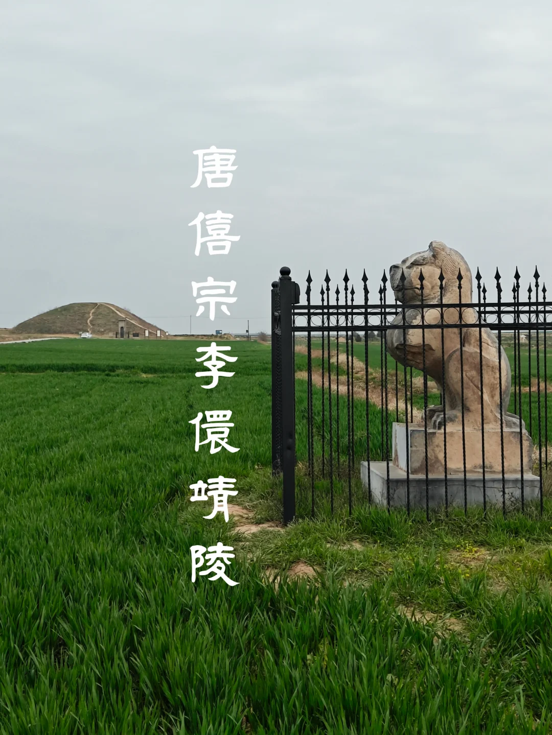 唐僖宗李儇靖陵
