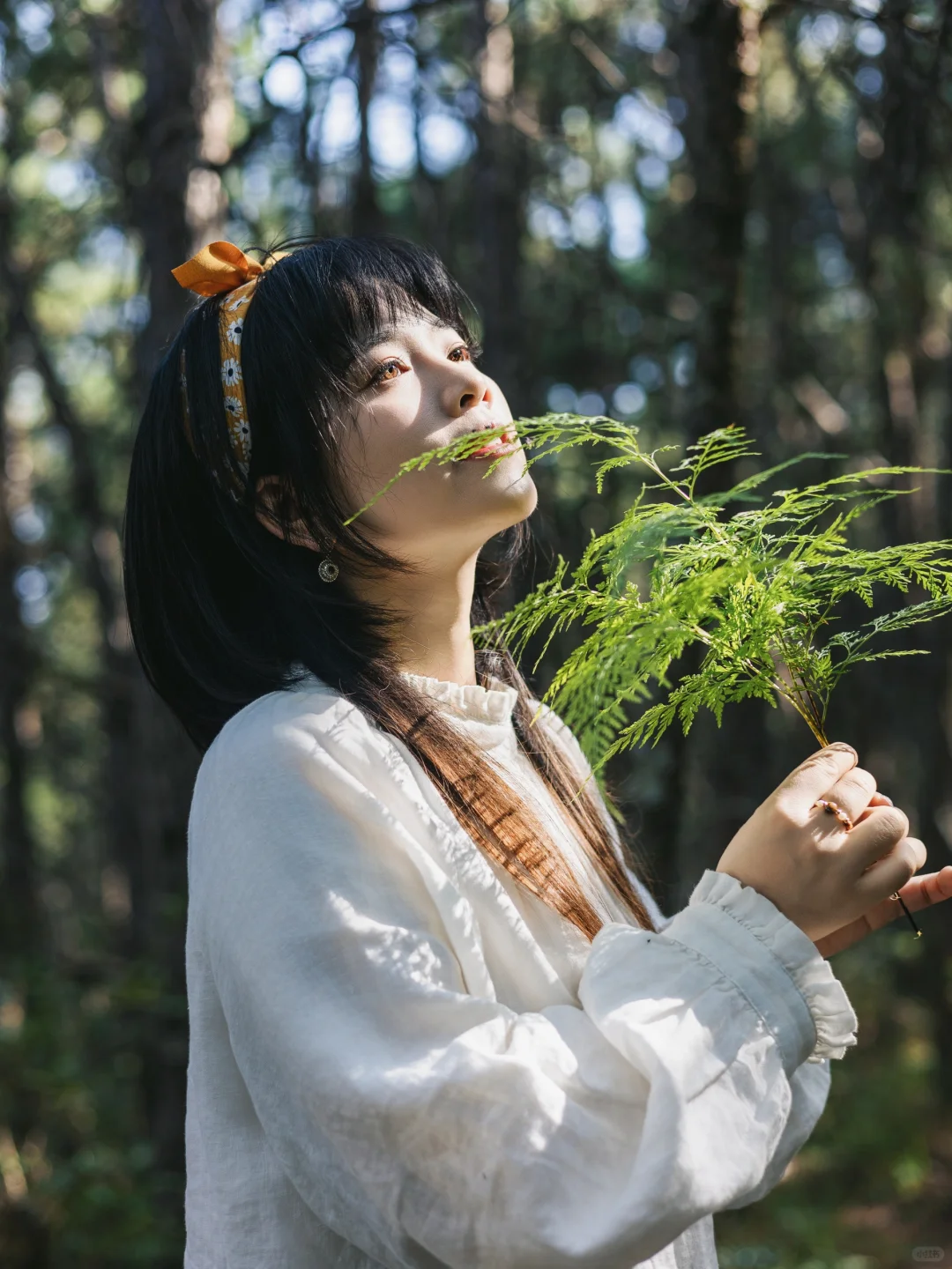不上班的日子，我在山里捡蘑菇🍄