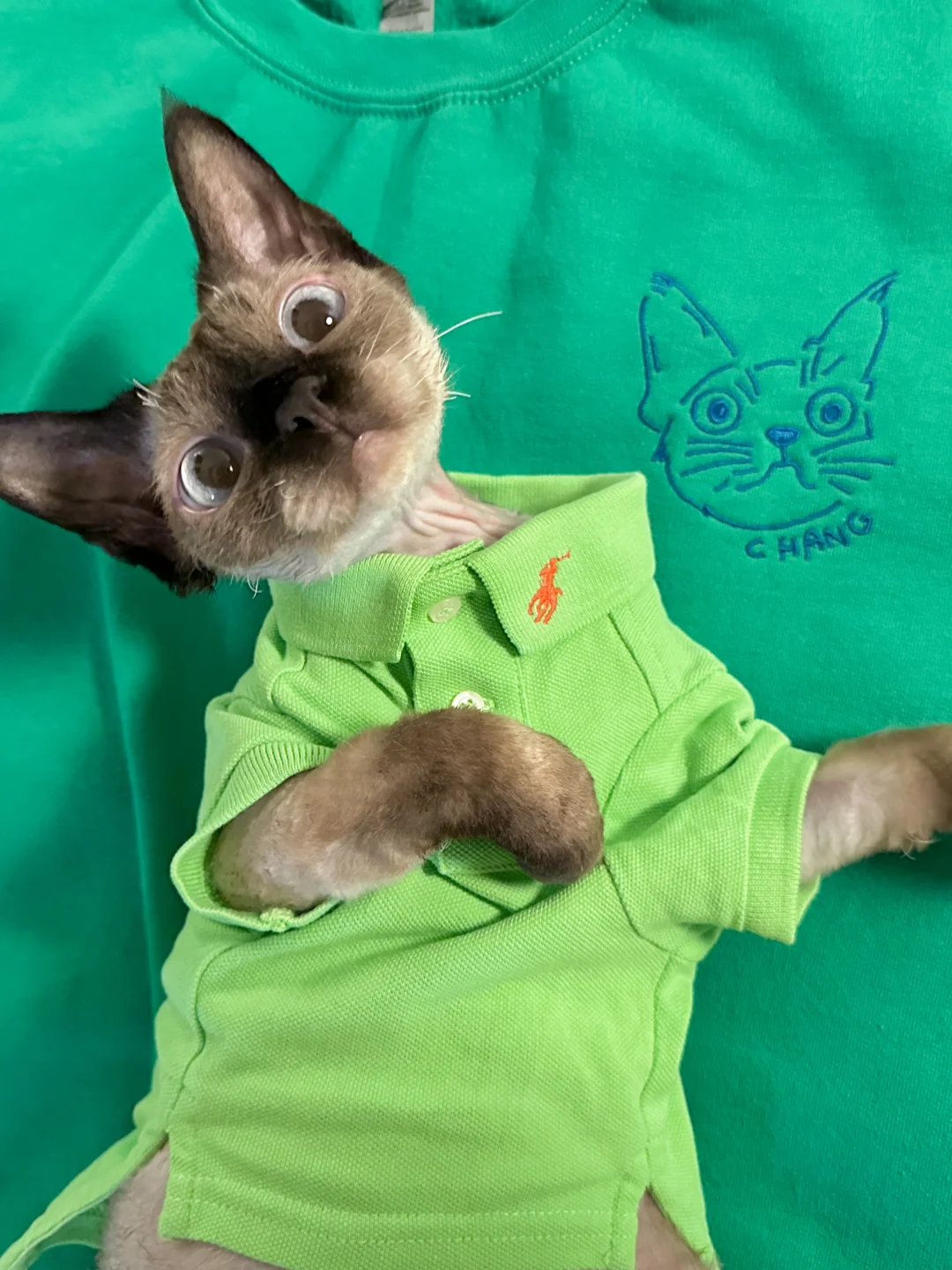 把宝的猫头穿身上！入秋也要绿色亲子装💚