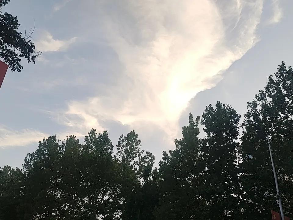 分享一张最近随手拍的照片。2026.初伏的天空