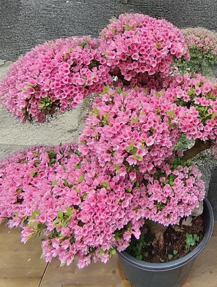 俗话说得好：谈话八分听，二分说；见面八分点头，二分摇头；交友八分暖，二分冷；待人