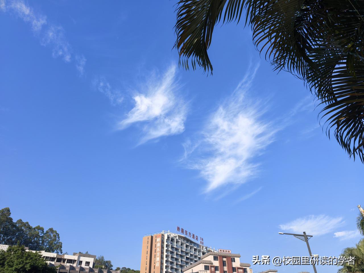 退休姐姐今日份小开心

今天一位年轻的工程师，上门帮我维修电脑。随口问我去天河方