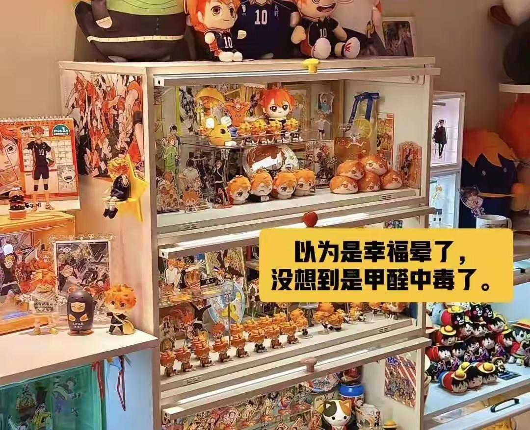 杭州，一个20岁的小姑娘，攒了三年攒出五百多枚吧唧，把十几平的小卧室三面墙、展示