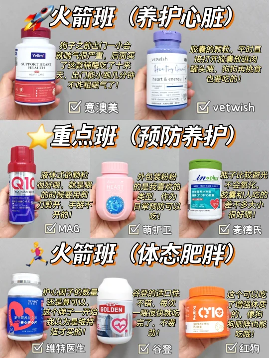 自用心脏病狗狗辅酶q10盘点