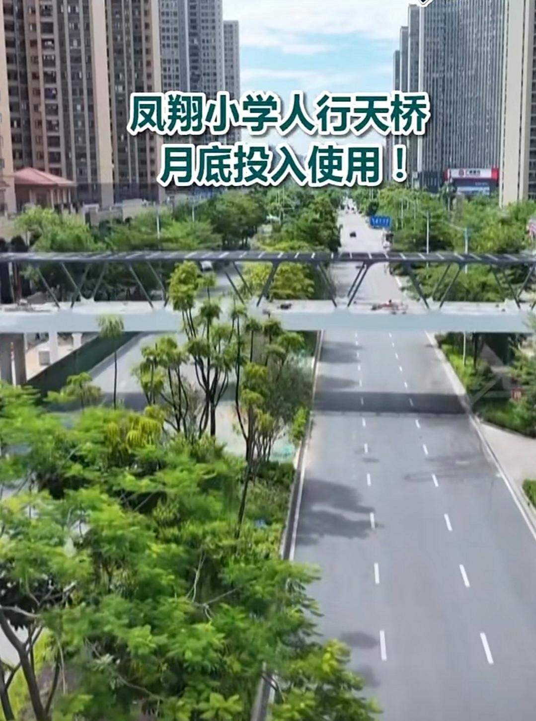 重磅消息！凤翔小学人行天桥月底投入使用！这座横跨凤翔中路的“空中走廊”真容即将展