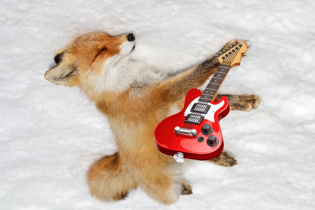 狐狸 狐インロッカー🎸 