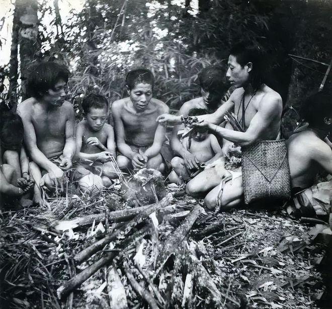 1956年，部队在云南原始森林深处，发现一群衣不蔽体、蓬头垢面的男男女女。经过调
