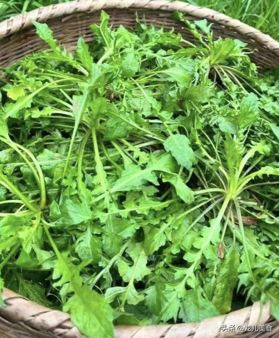 越吃眼睛越亮，惊蛰后敞开吃！1降压，2降脂，3护心，别不懂吃
惊蛰春雷响，荠菜破