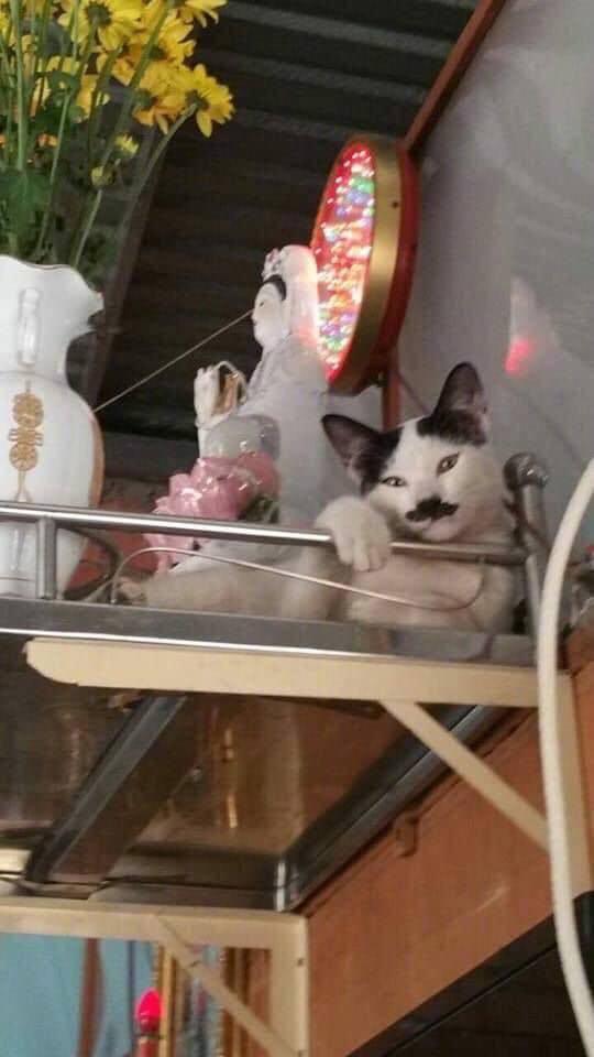 哪个最有个性..