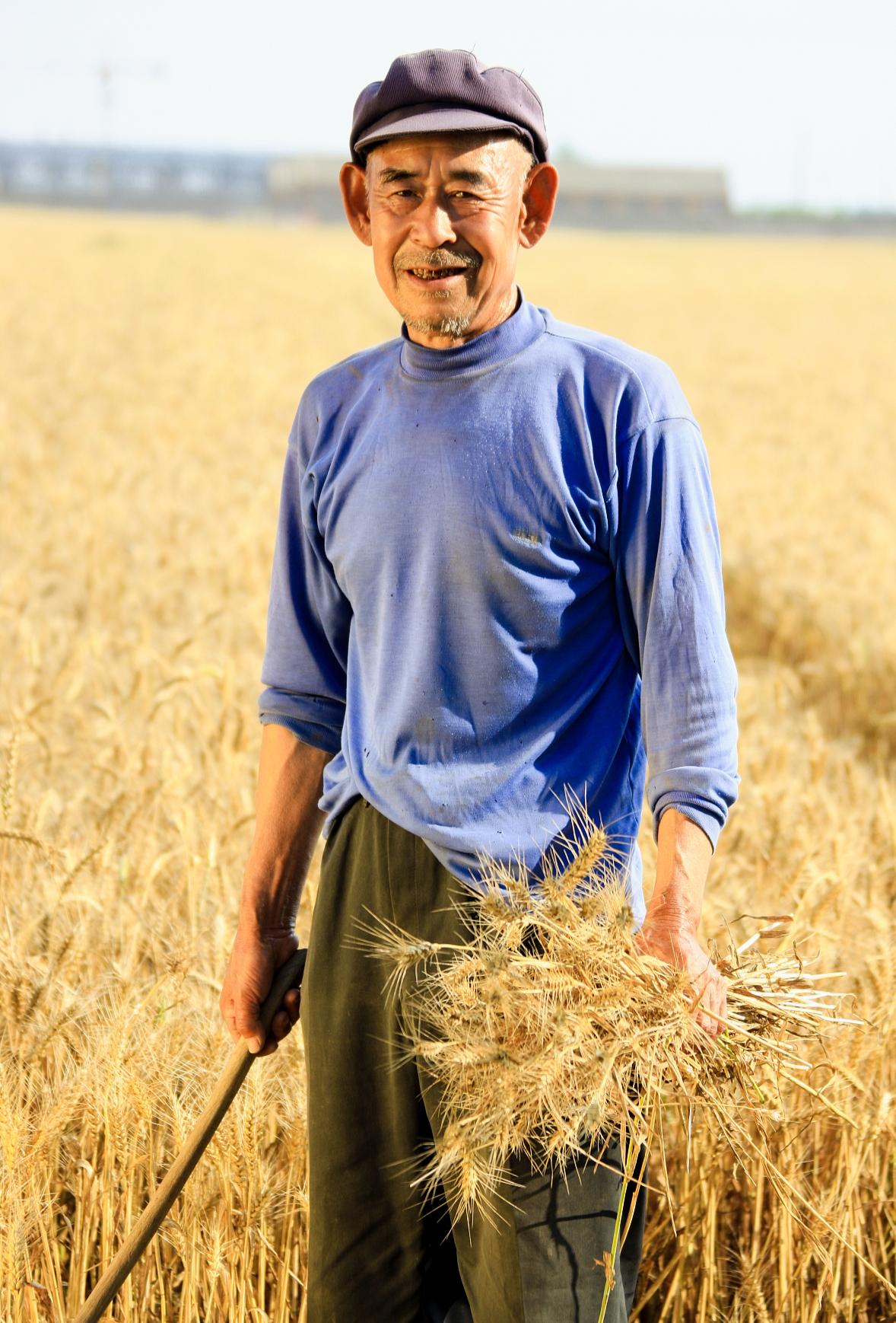 这个车不实用，
发挥不了电动车的作用，
新国标电动车受质疑，专家的设计初衷是从安