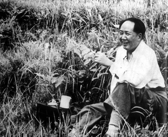 51年大规模打贪运动让上万贪官落网，毛主席问警卫李银桥：你们害怕我吗？
1952