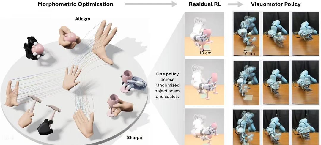 保留接触的人手到机器人手迁移
📄 论文名称
	
Morphometric Im