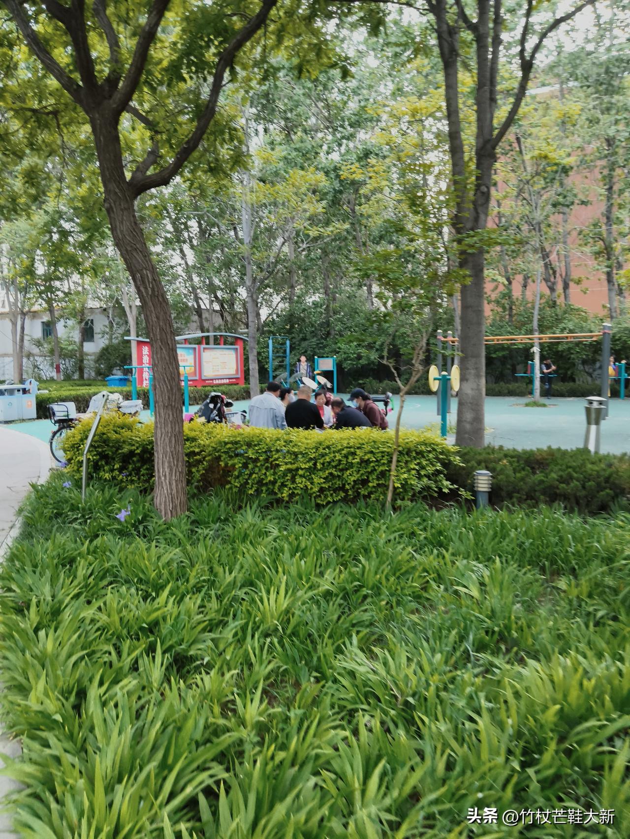 同学儿子结婚，小学同学两桌，在一个单间，男同学一桌，女同学一桌。

这一桌上，只