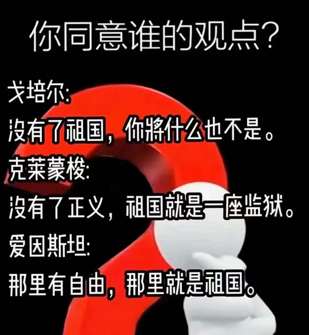 世界历史上，关于祖国的一些著名观点