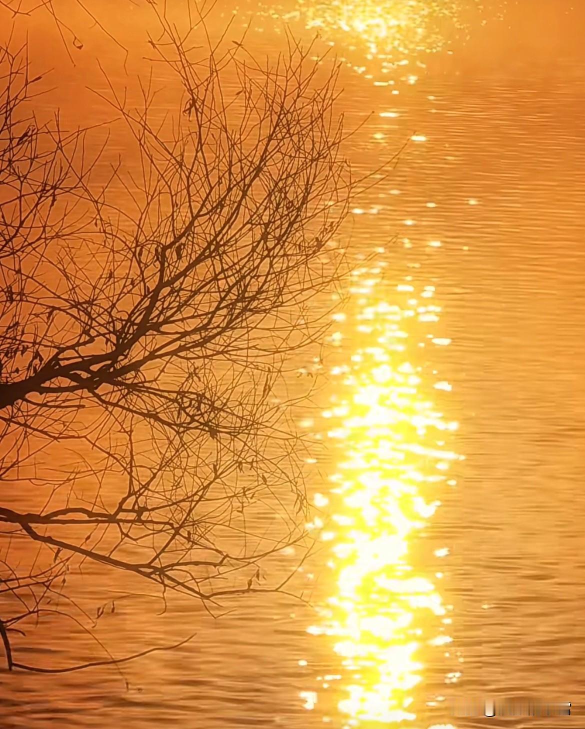 我没有手机里的夕阳照能发，但我想起一个超美的夕阳故事。上个月在杭州西溪湿地，有位