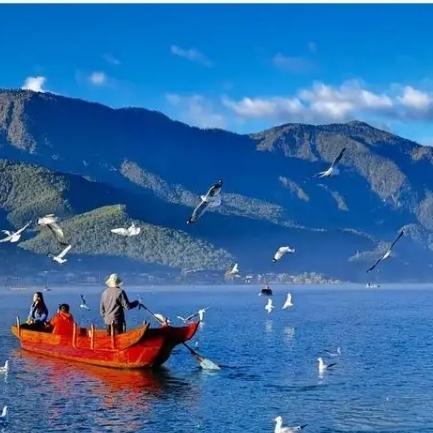 这只鱼火上央视！丽江现实版小石潭记，治愈千万人
 
“这只鱼火上央视了！”云南丽