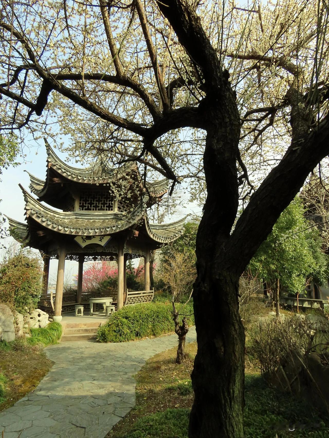 春日古风庭院，花树掩映下的雅致亭台，宁波梁祝公园