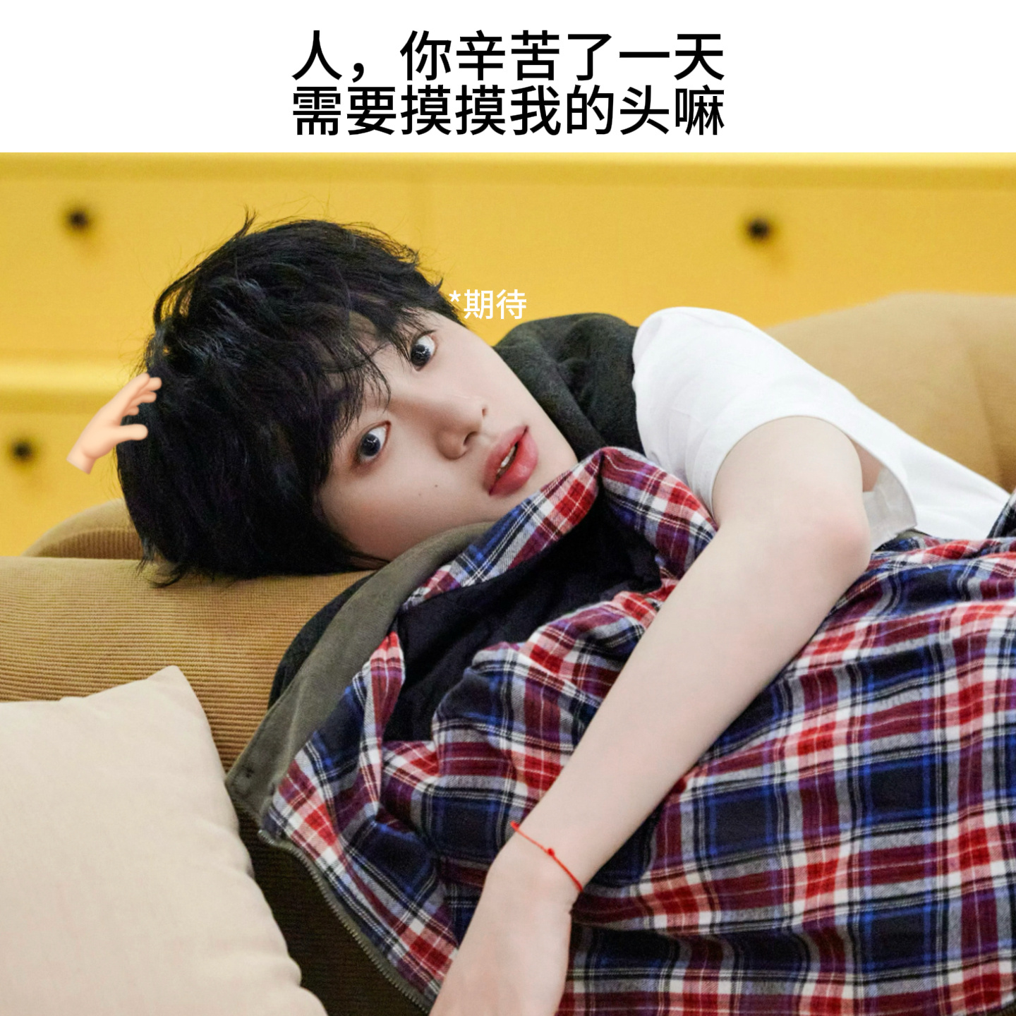 近期养宝碎片*🧩 