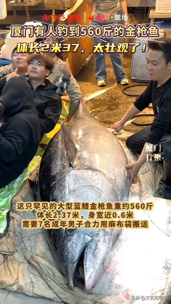 “亏不亏？”3月17日，福建厦门，一男子带着两名船员，摸着黑出海，竟钓到了560