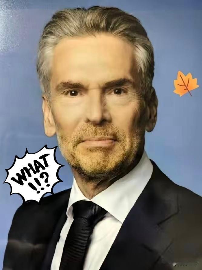 荷兰这次是自找没趣！

10月23日，安世半导体中国：荷兰总部相关决定在中国境内