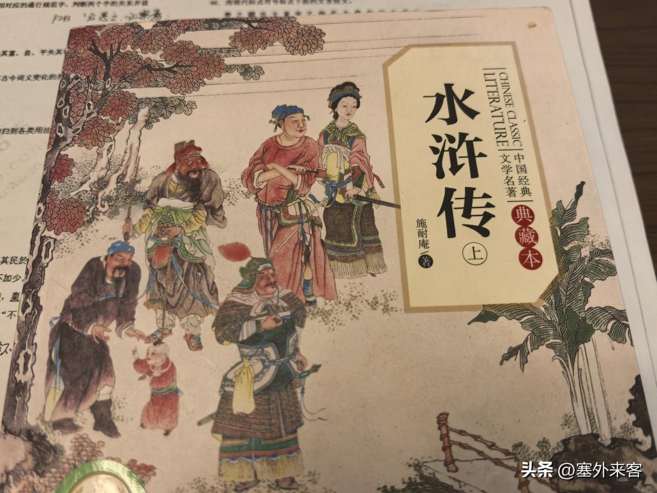 水浒好汉们也是人和狗的差别，主要分两派，以林冲、杨志、鲁达、秦明等为代表的体制派