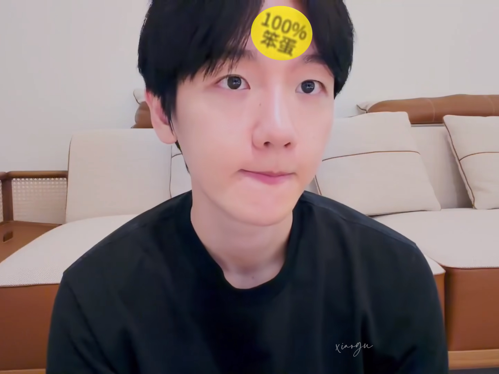 100%笨蛋 