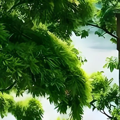 “何必计较呢，在乌鸦的世界，天鹅也有罪，发自己的光就好，不要和重要的人，计较不重
