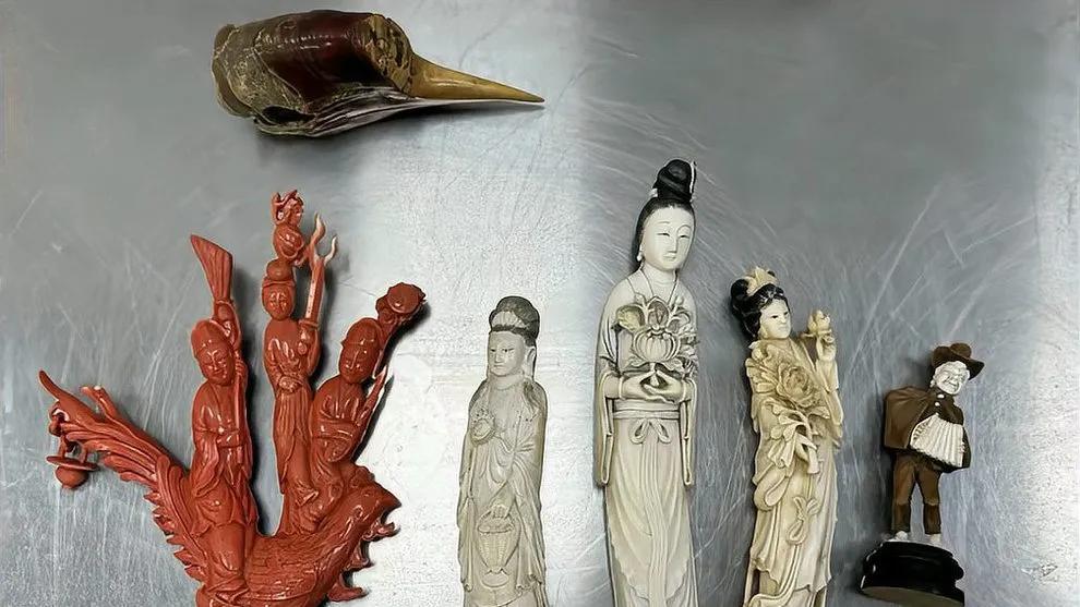 【新闻快讯】首都机场海关成功拦截珍稀动物制品，涉事物品已转交缉私机构

北京首都