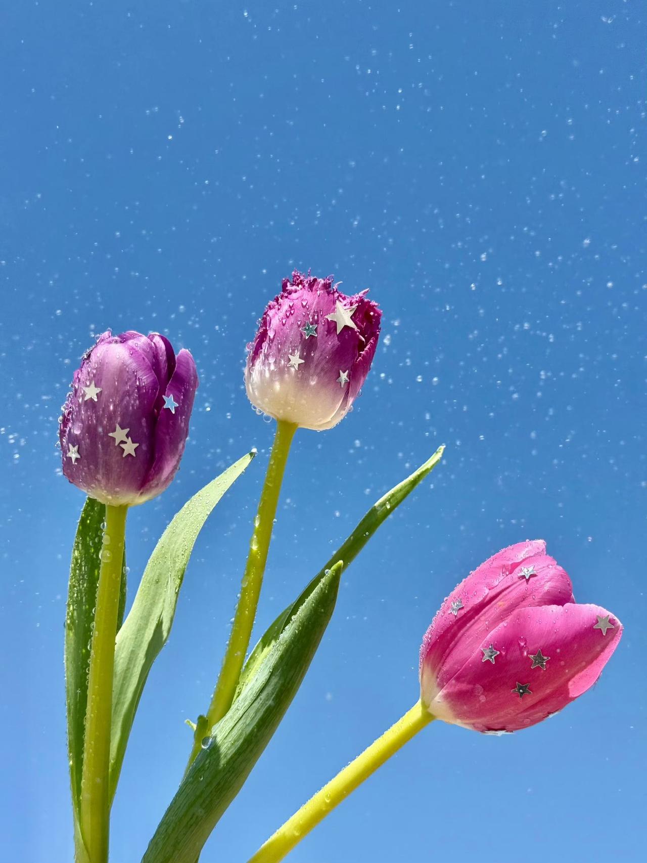 活得潇洒一点，
让笑容成为心情，
而不是表情