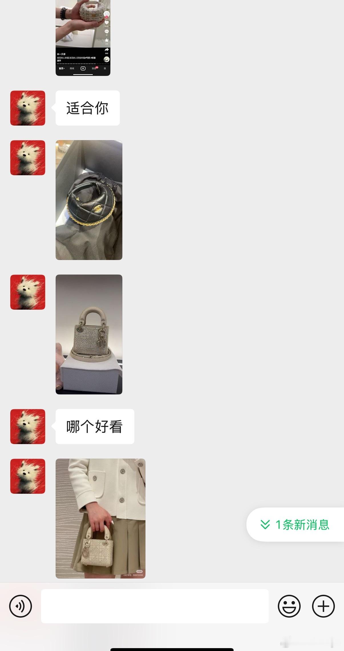 [春游家族][春游家族][春游家族]谢谢我滴好闺闺永远最宠我 ​​​