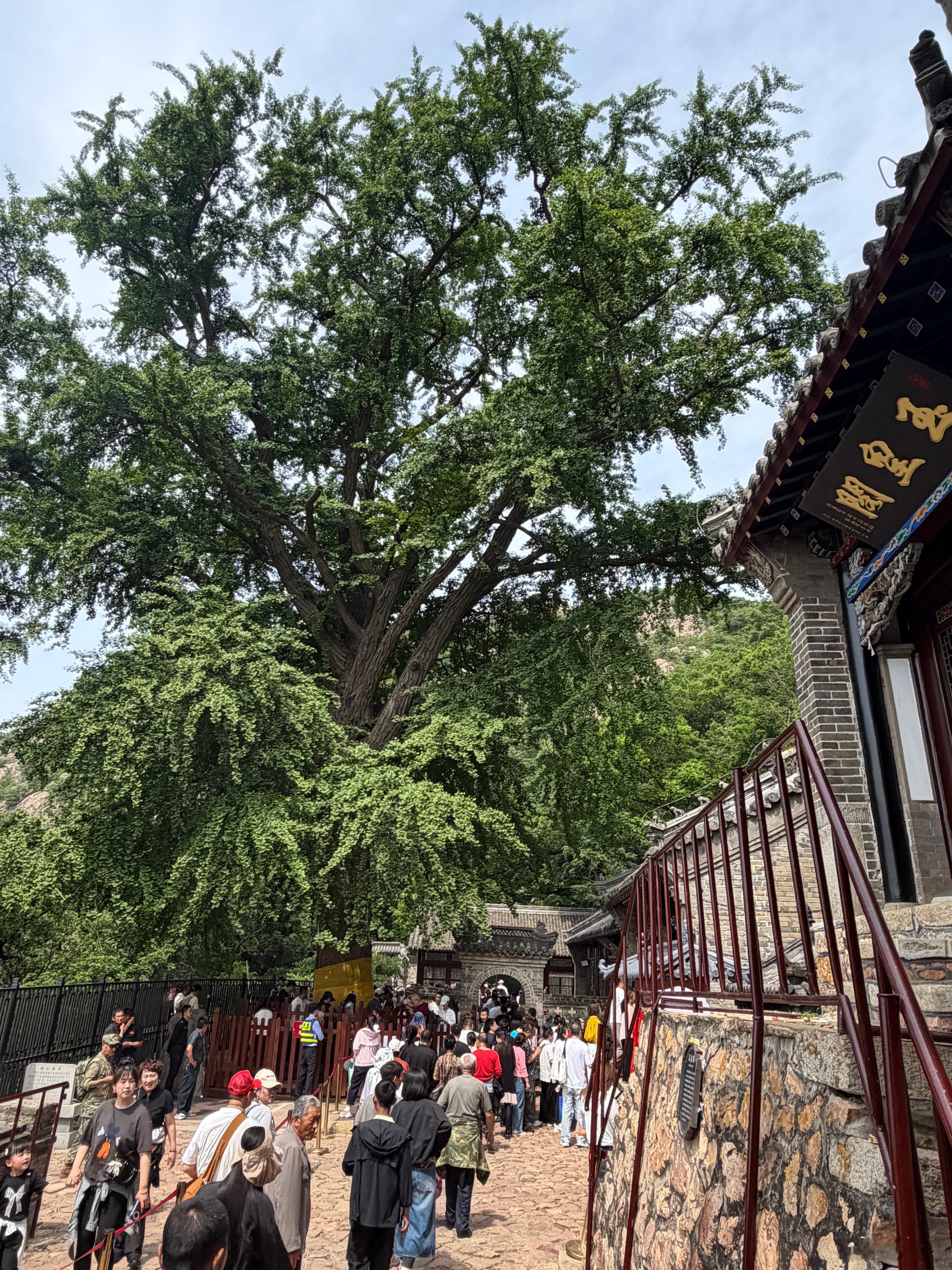 吃粽子，是端午的味道；系五彩绳，是端午的祝福；来大孤山登高祈福，则像是把这份祝福