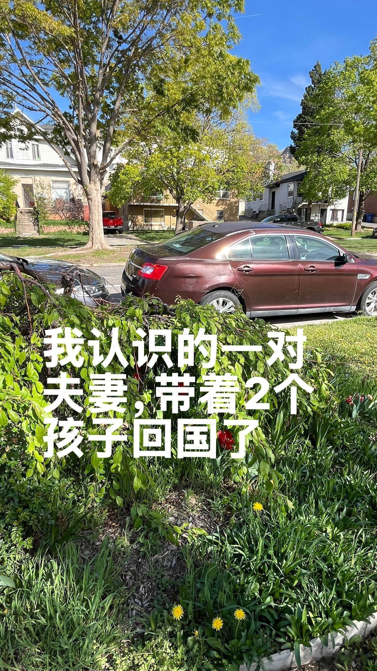 我认识一对夫妻，在美国打拼了六七年。

两个孩子也生了，一家四口，日子本来过得还