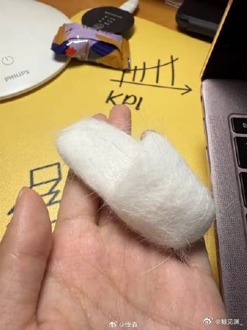 一下子跟掉毛的小猫和解了 每天打扫都会捡到不少猫毛，现在发现了新用法，亲手用猫毛