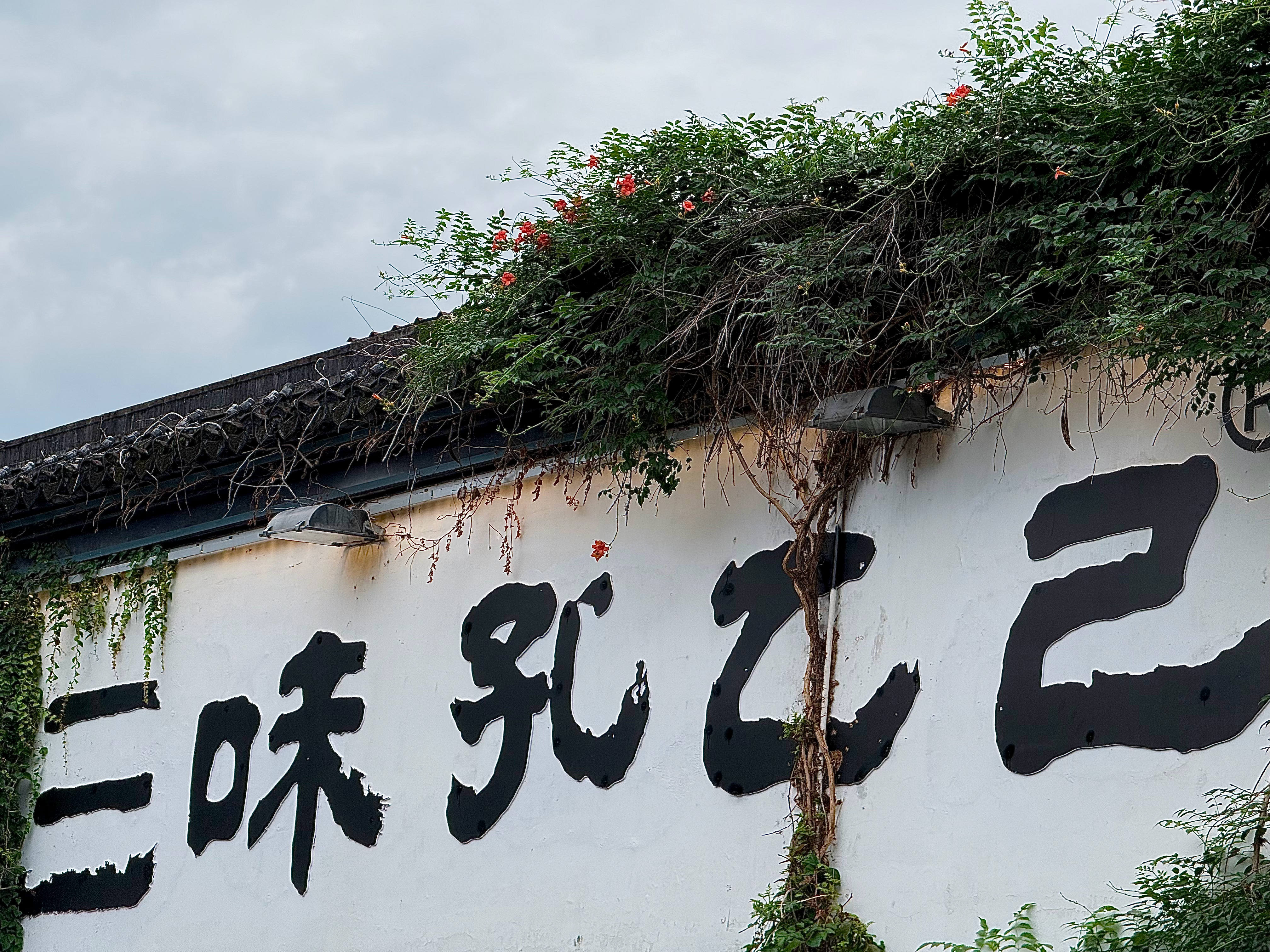 :)’s plog 比如绍兴 