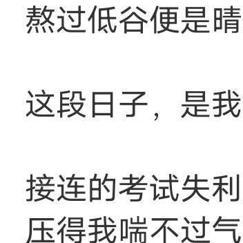 我不知道那算不算谈恋爱。因为我们都没有说出口，可是好像生命中突然多出了一个人，陪