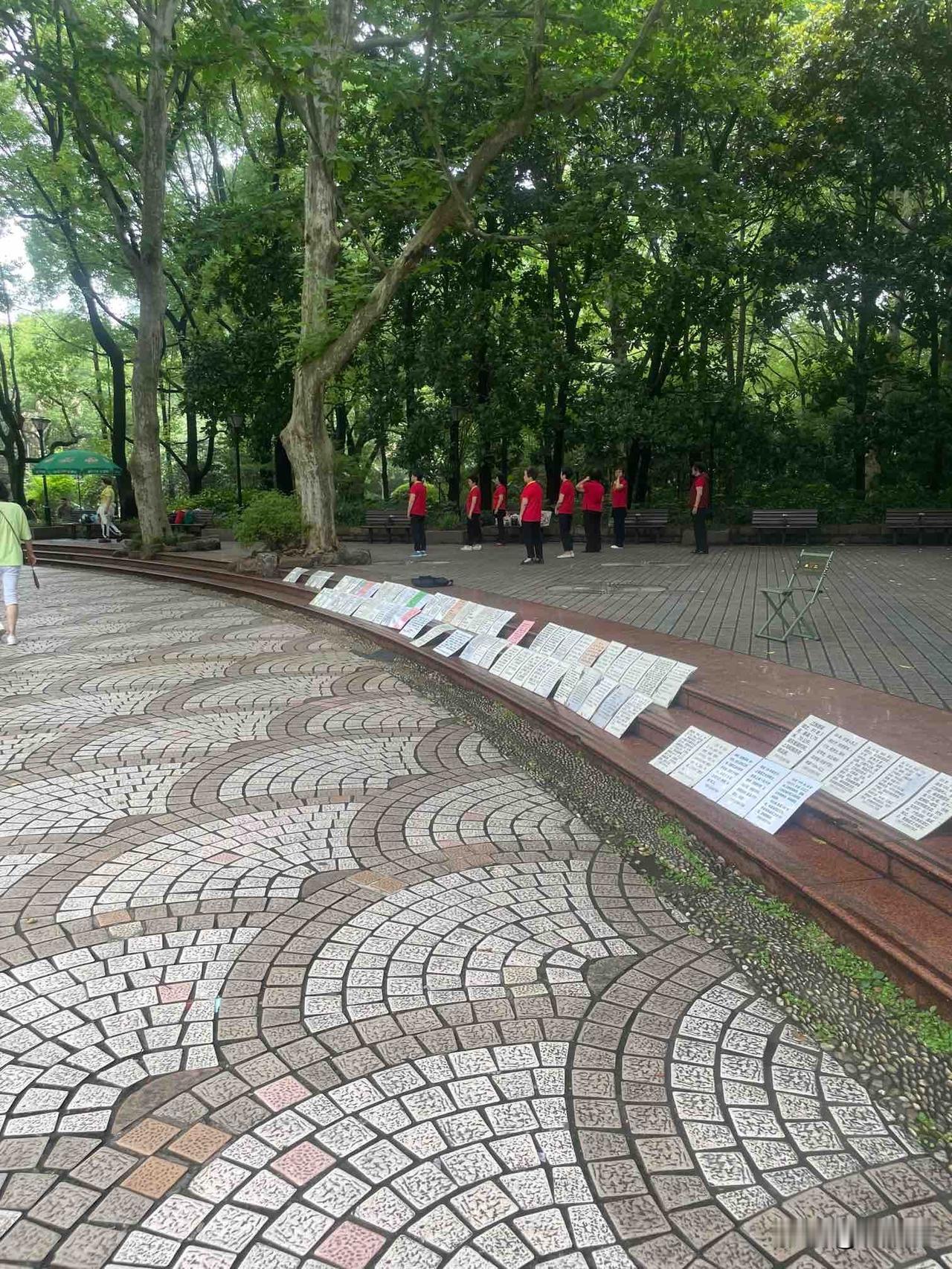 上海58岁阿姨相亲15年绝不妥协：年龄从来不是人生的枷锁

上个星期，逛上海人民