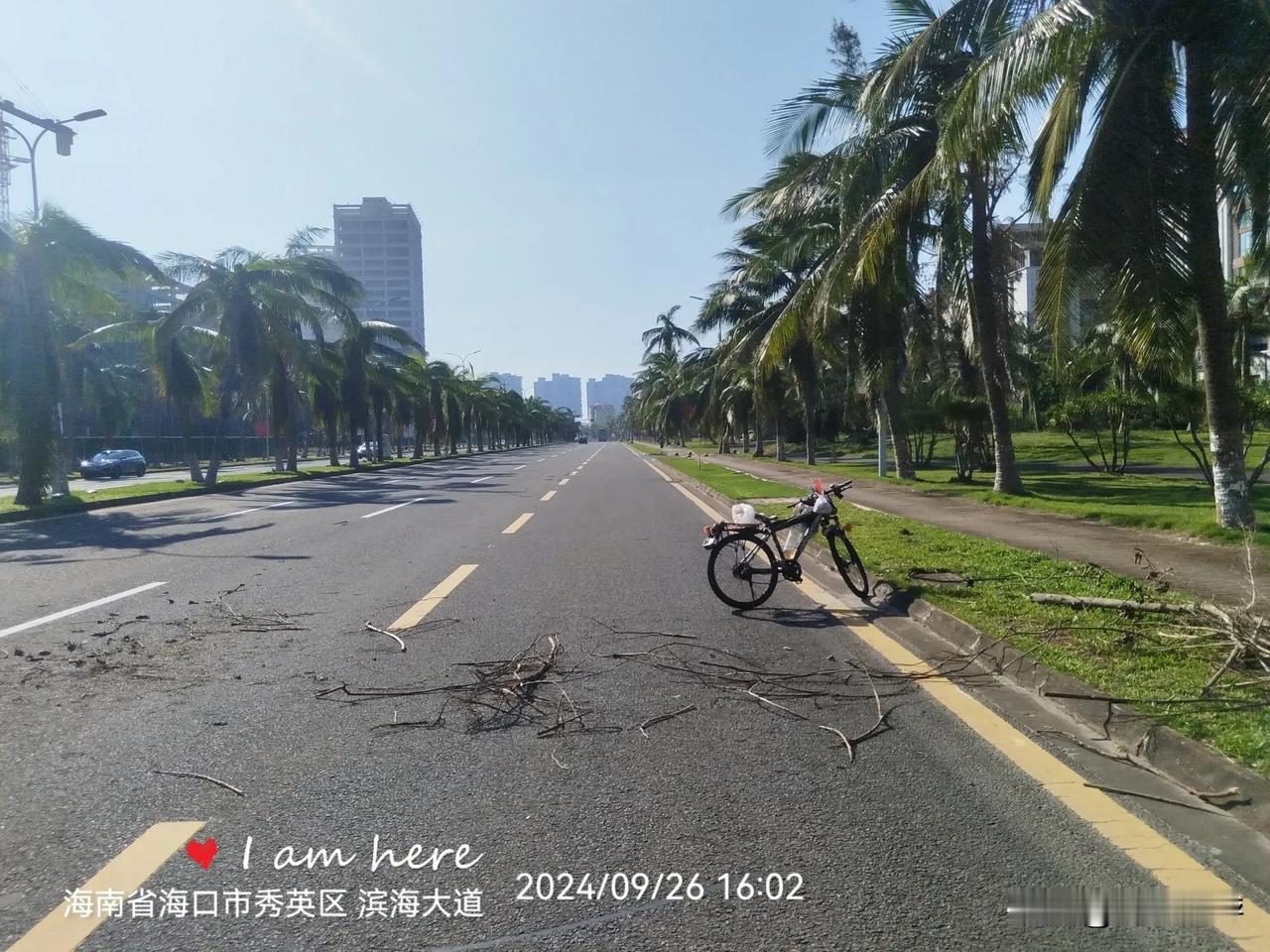 骑行路上顺手清理路上掉落树枝。
​海南省海口市秀英区，滨海大道（假日海滩往海南国