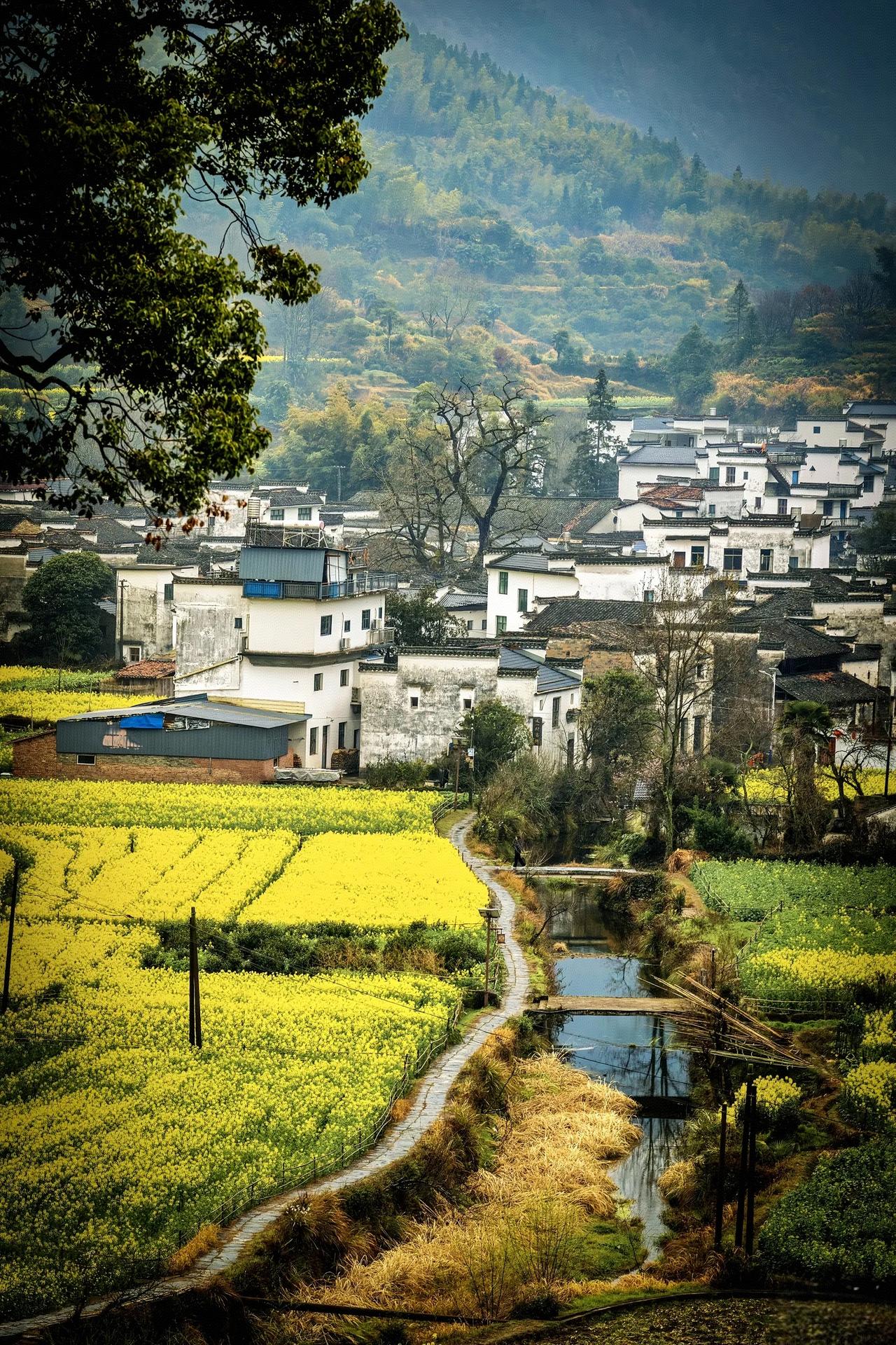 任何一个单位，尤其是重要部门，一定要为年轻人创造发展的机会。年轻人是未来的希望，