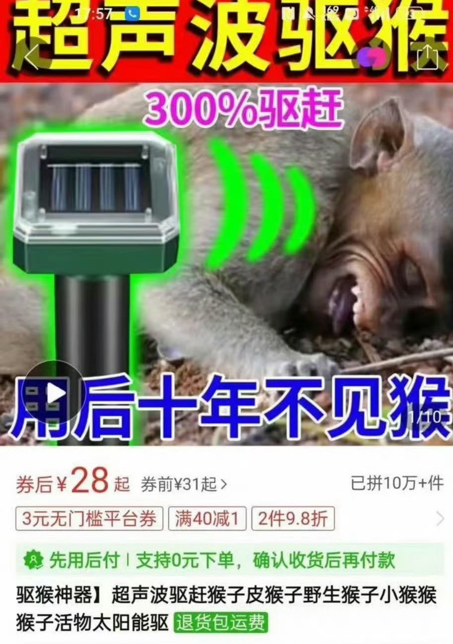 如果你要去广西，建议你提前买个驱猴神器[开摆] ​​​