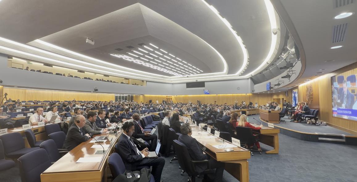 无解的运费
当地时间3月18日，国际海事组织秘书长多明戈斯在国际海事组织第36届