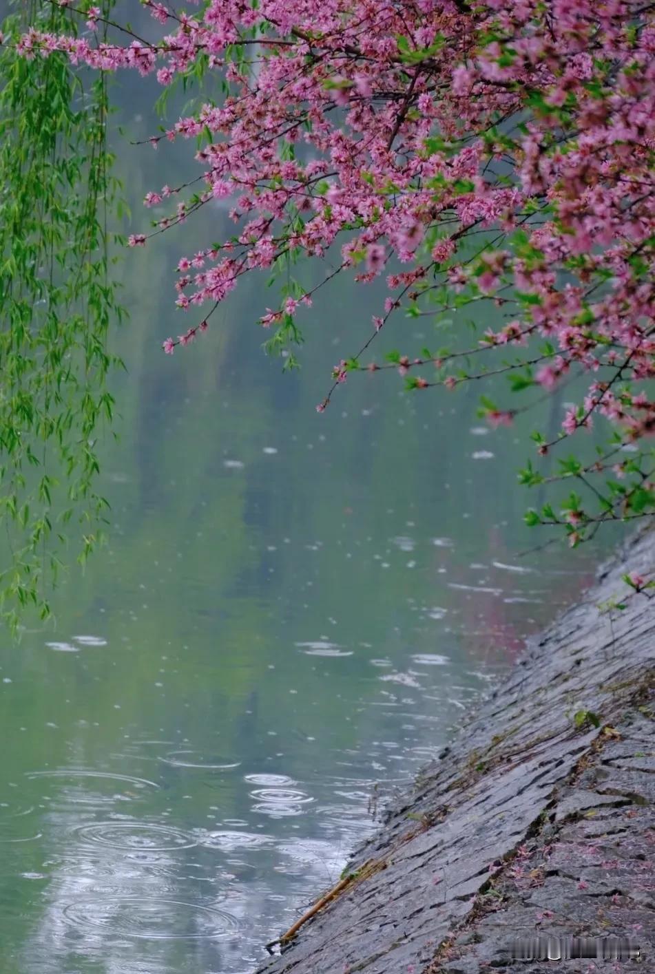 《唐多令•雨水问柳》
（原创首发）陋室听秋/文
 
午后倚池悠，垂杨万缕柔。
任