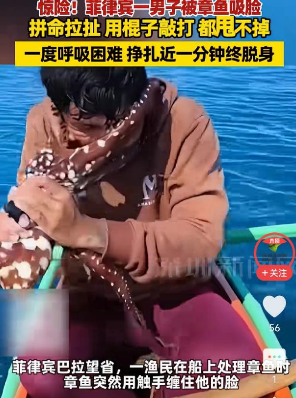 7月29日，一段菲律宾渔民遭章鱼“抱脸”的视频在网上迅速传播。画面中，一只刚被捕