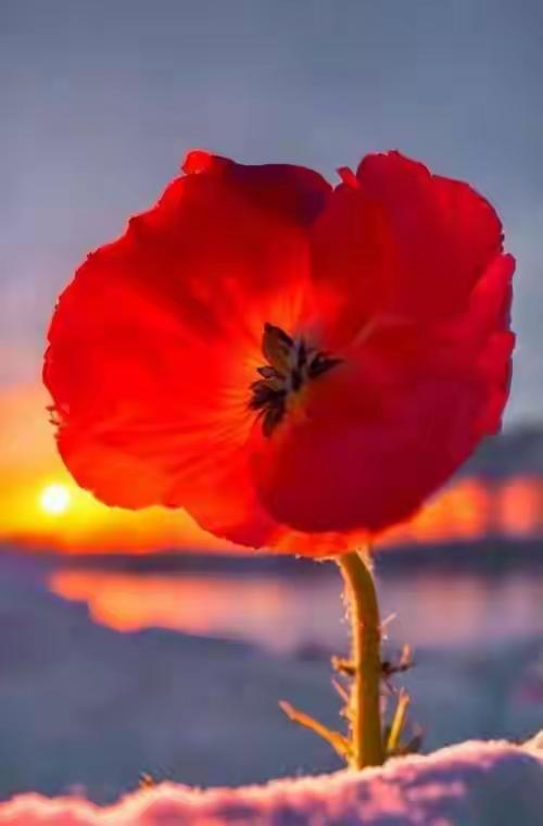 《刷手机到凌晨两点，靠咖啡续命？是时候掌握自己的生活节奏了！》

---

你是